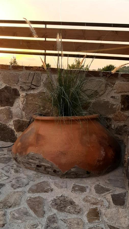 Villa Savvas Brian Mountain House In Paphos Pendalia Exterior foto